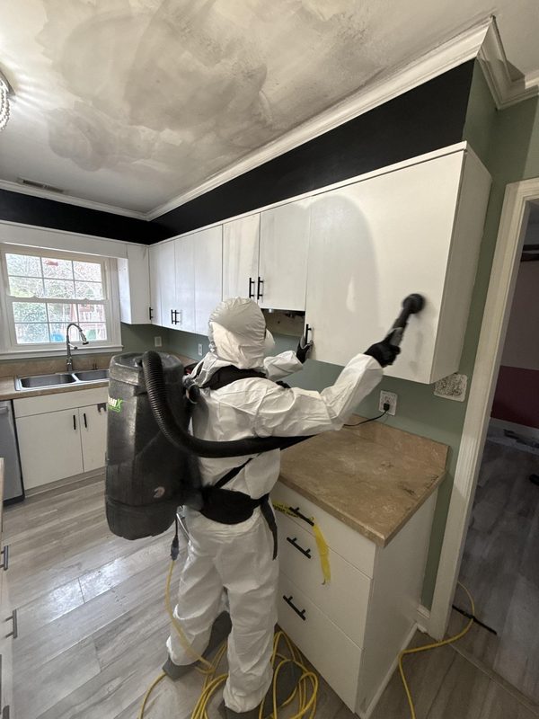 Mold Removal & Remediation