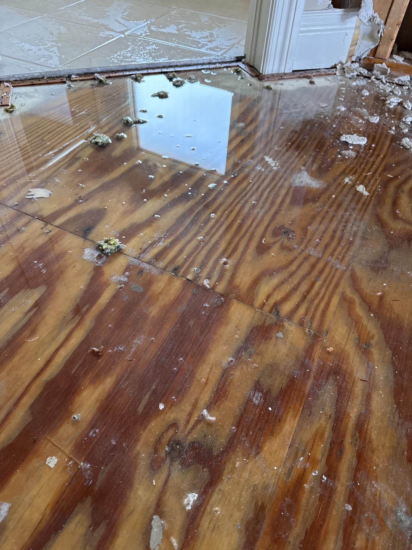 Standing water and damage on wood subfloor from storm intrusion in Indianapolis